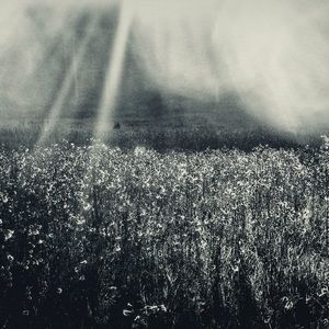 Meet your Posher, Trisha